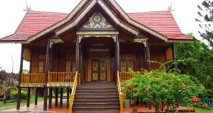 Gambar Desain Rumah Adat Jambi
