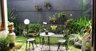 Model Taman Rumah Minimalis Terbaru