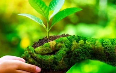 Kenalan dengan DLH Bengkulu dan Perannya dalam Menjaga Lingkungan