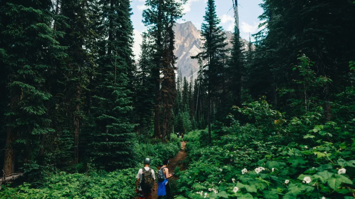 Panduan Wisata Taman Nasional Paling Lengkap Biar Liburan Seru