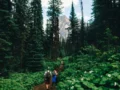 Panduan Wisata Taman Nasional Paling Lengkap Biar Liburan Seru