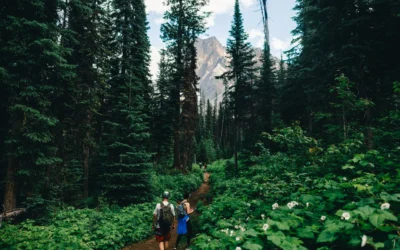 Panduan Wisata Taman Nasional Paling Lengkap Biar Liburan Seru