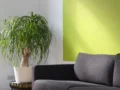 Cara Mendekorasi Rumah Minimalis Agar Rapi dan Luas