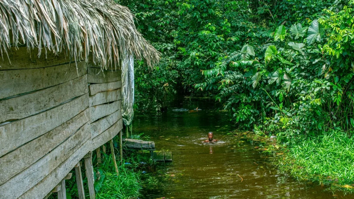 Panduan Wisata Sungai Jernih untuk Menemukan Surga Tersembunyi