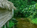 Panduan Wisata Sungai Jernih untuk Menemukan Surga Tersembunyi