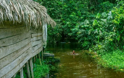 Panduan Wisata Sungai Jernih untuk Menemukan Surga Tersembunyi