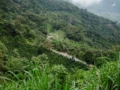 Wisata Perkebunan Kopi Terbaik untuk Liburan Seru Pecinta Kafein