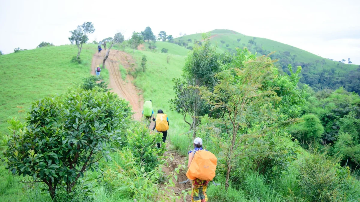 Ide Wisata Alam Tersembunyi di Sentul untuk Liburan Singkat