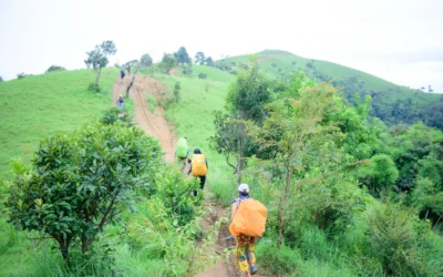 Ide Wisata Alam Tersembunyi di Sentul untuk Liburan Singkat